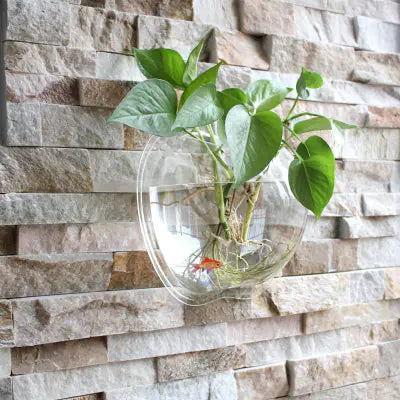 Wall Planter for Home Decor